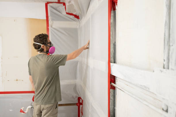 Best Mold Documentation for Insurance Claims  in Dumont, NJ