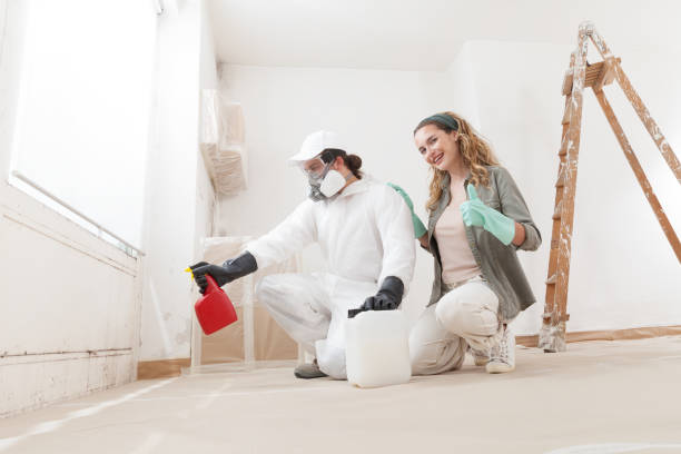 Best Commercial Mold Inspection  in Dumont, NJ