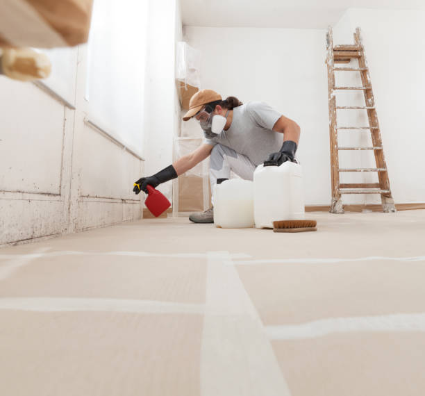 Best Crawl Space Mold Remediation  in Dumont, NJ